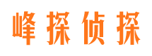 大兴市私家侦探